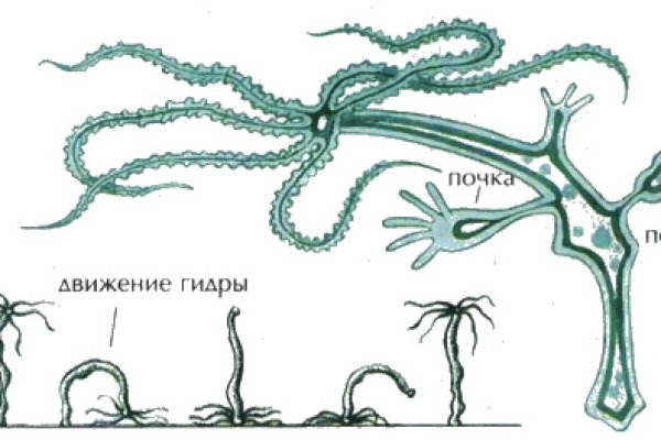 Кракен пх